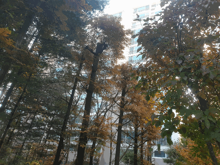 물건 사진 10