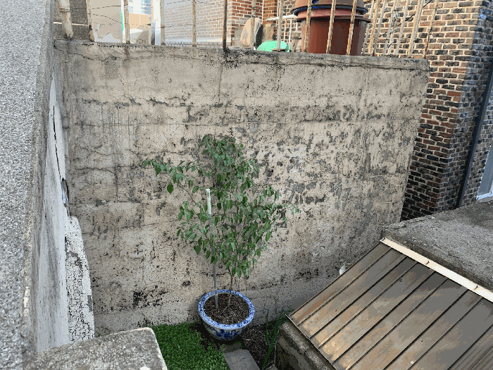 물건 사진 15