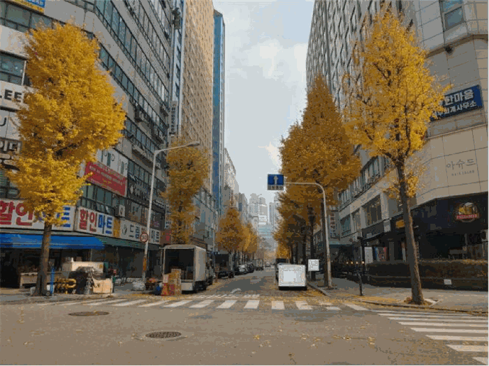 물건 사진 12