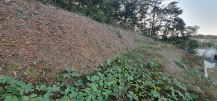 물건 사진 37