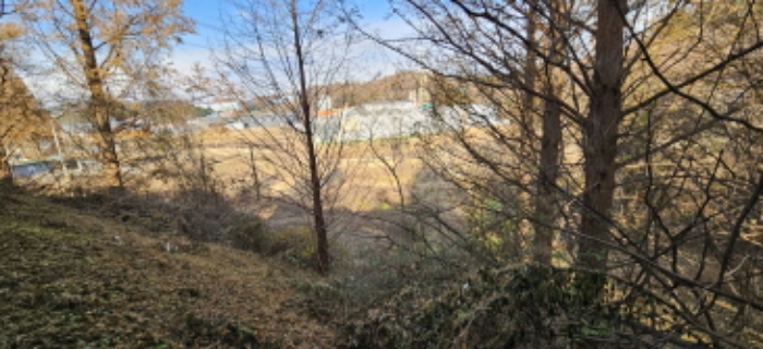 물건 사진 12
