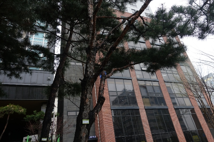 물건 사진 45