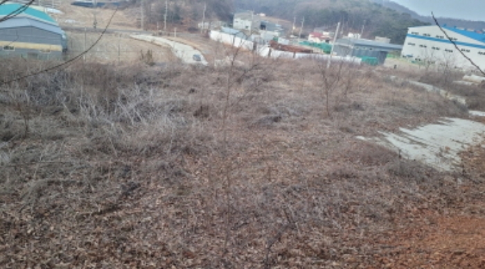 물건 사진 11