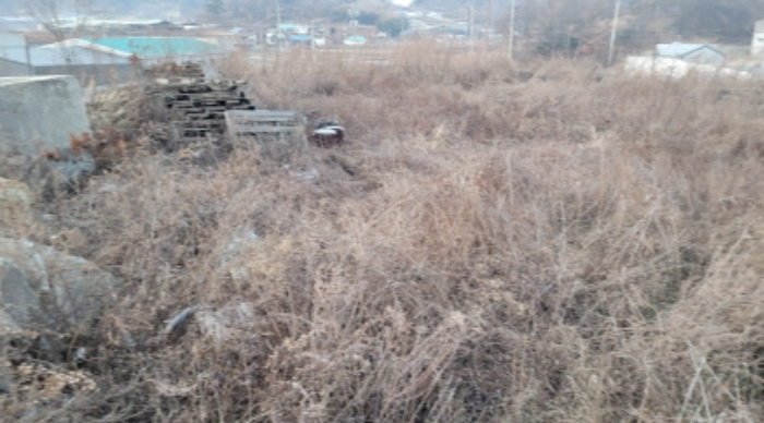 물건 사진 6