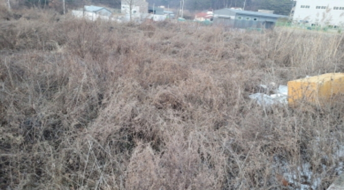 물건 사진 7