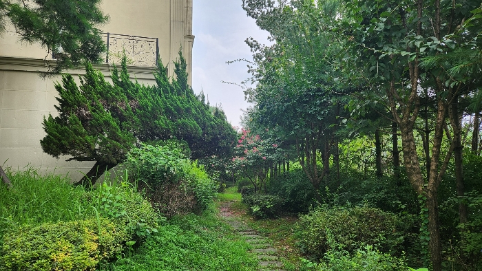 물건 사진 17