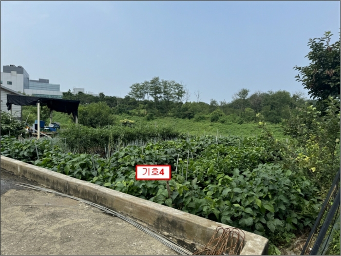 물건 사진 34