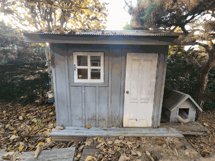 물건 사진 16