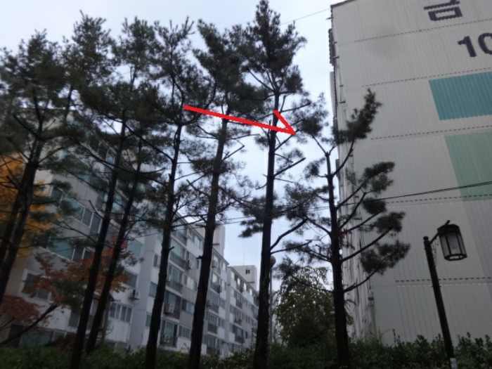 물건 사진 11
