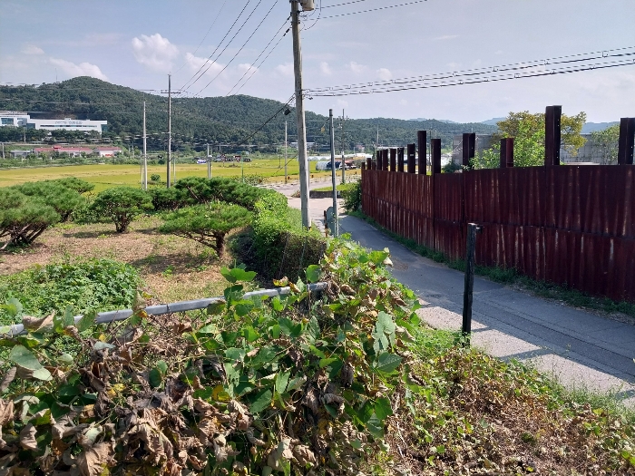 물건 사진 21