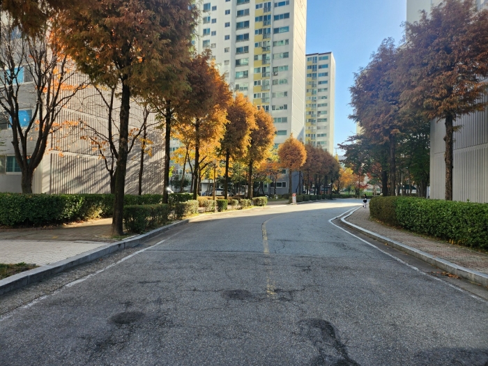 물건 사진 10