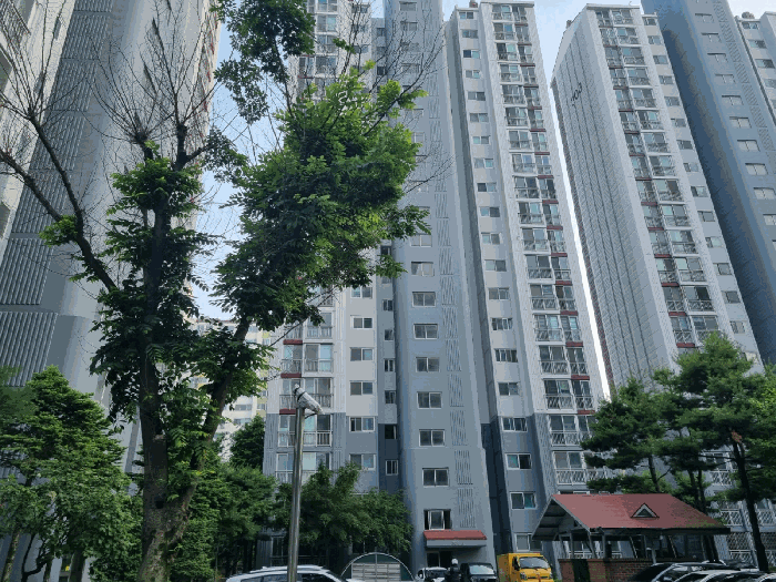 물건 사진 11