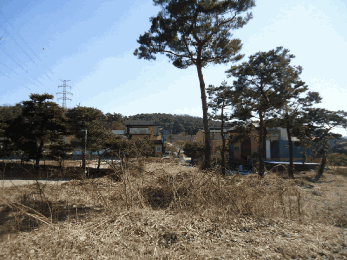 물건 사진 18