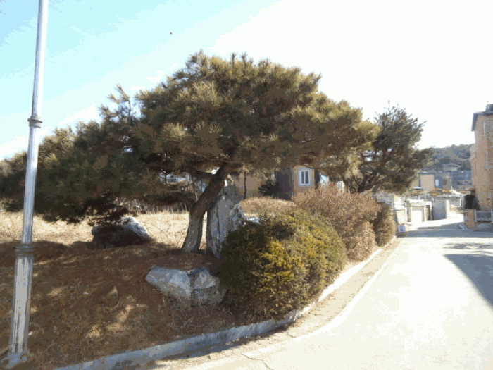 물건 사진 29