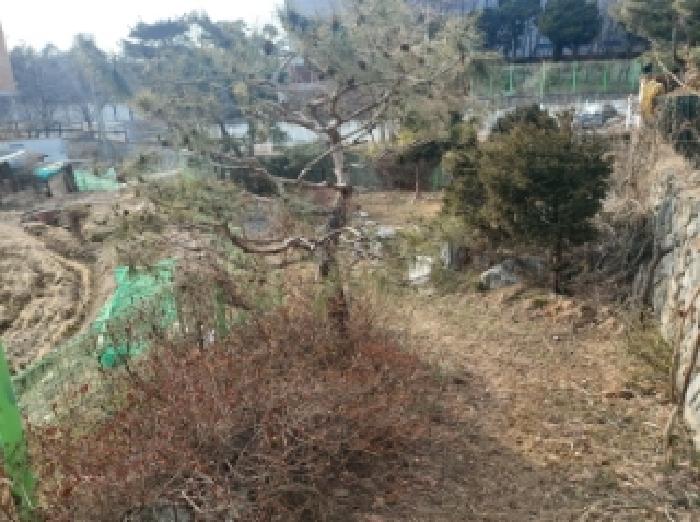 물건 사진 4