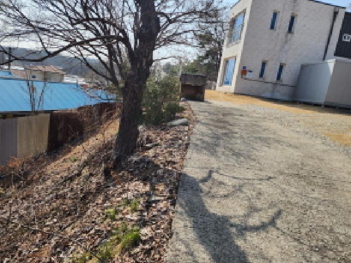 물건 사진 2