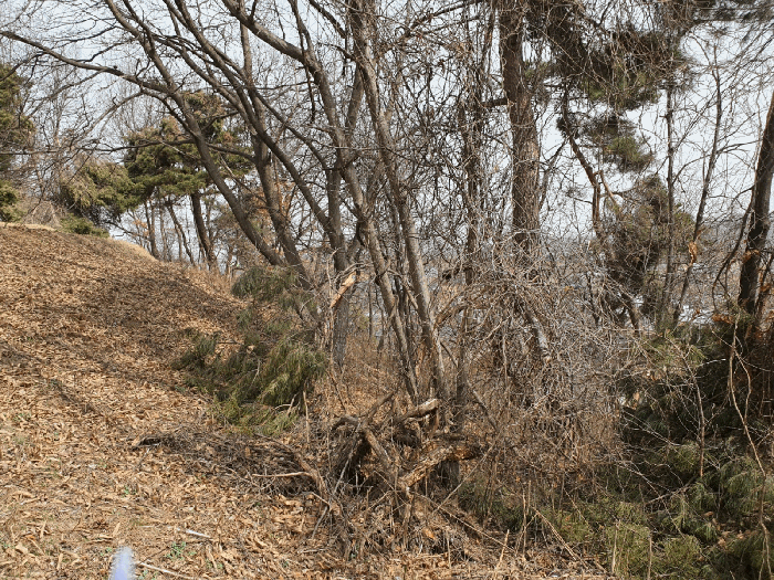 물건 사진 21