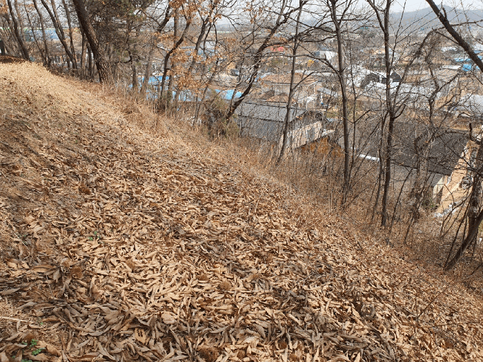 물건 사진 32