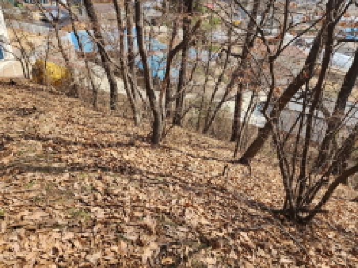 물건 사진 7