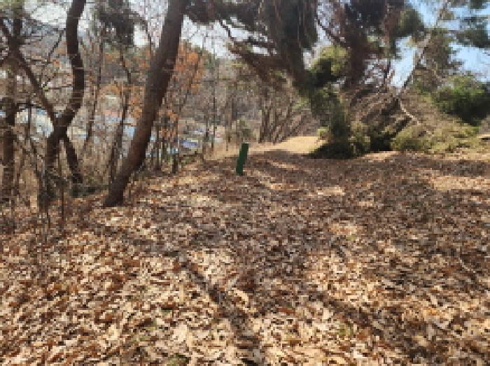 물건 사진 8
