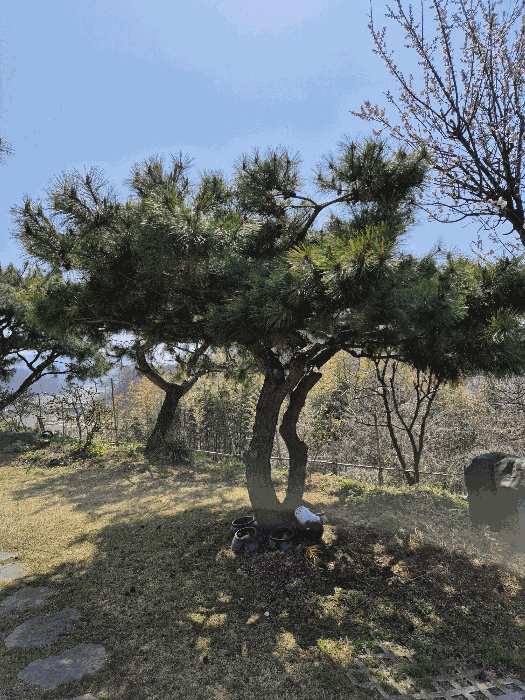 물건 사진 11