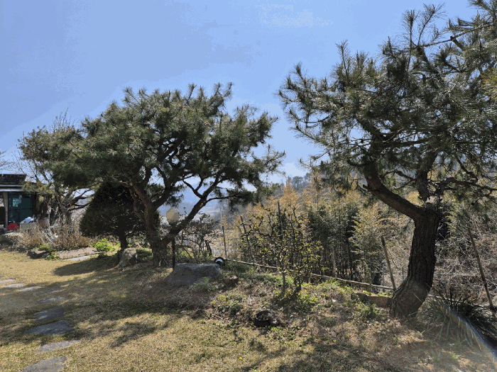 물건 사진 18