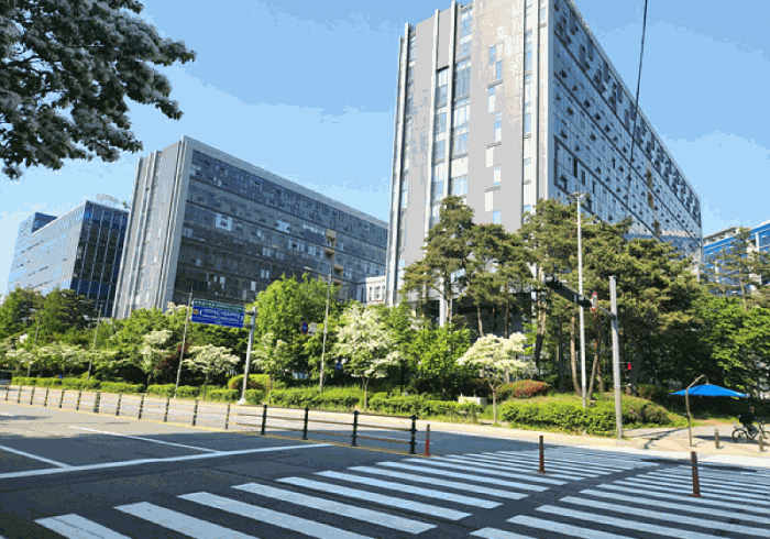 물건 사진 11