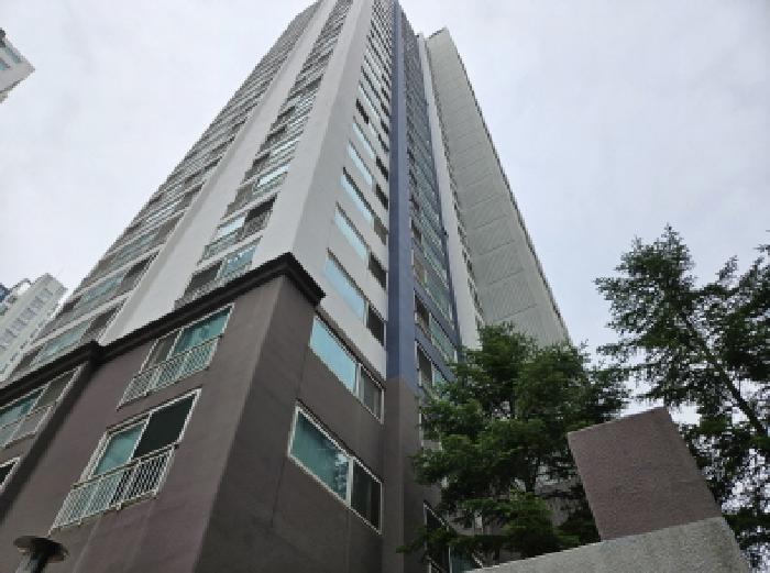 물건 사진 3
