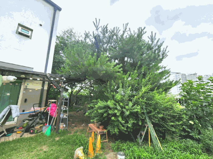 물건 사진 14