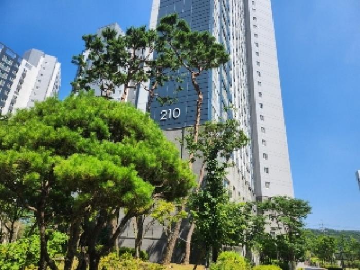 물건 사진 4
