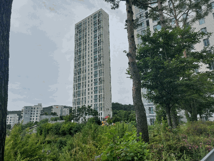 물건 사진 8