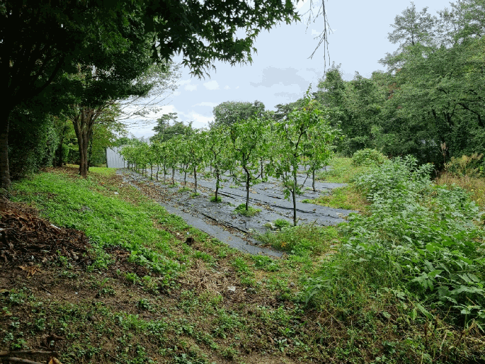 물건 사진 15