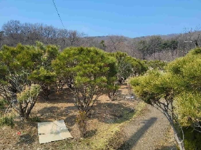 물건 사진 7