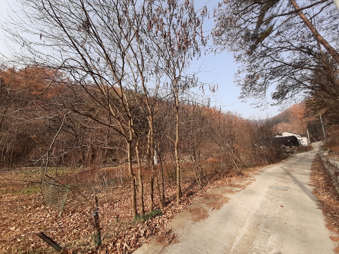 물건 사진 15