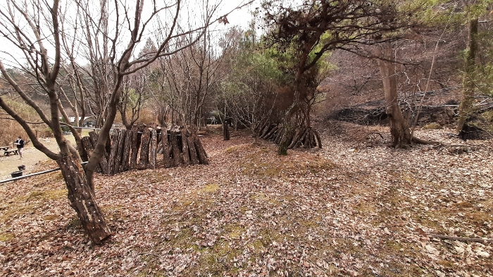 물건 사진 19