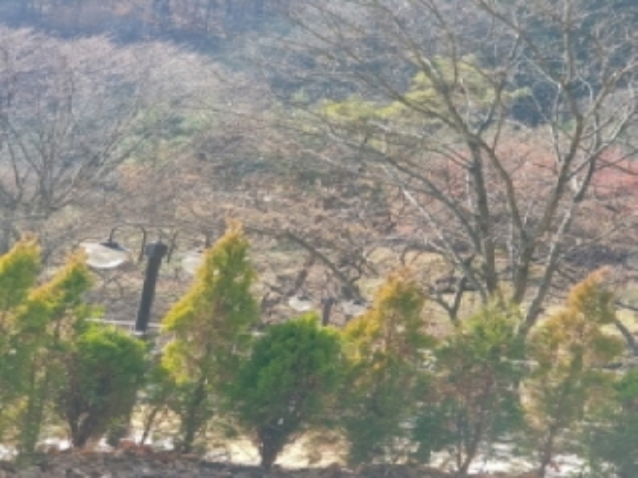 물건 사진 4