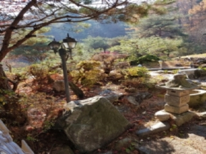 물건 사진 7