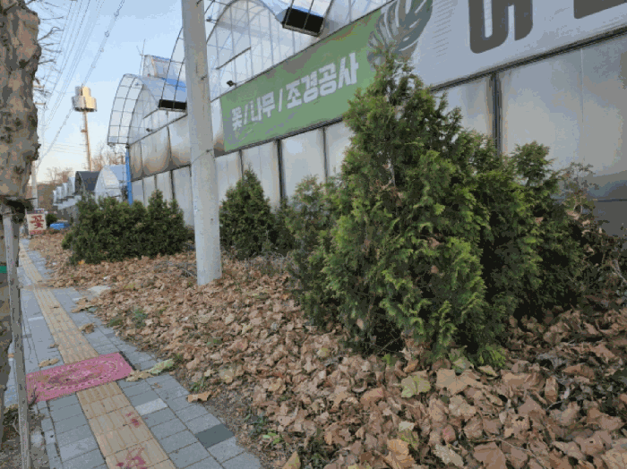 물건 사진 20