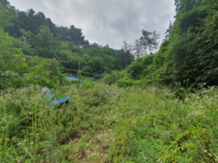 물건 사진 11