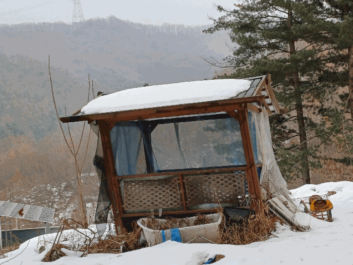 물건 사진 35
