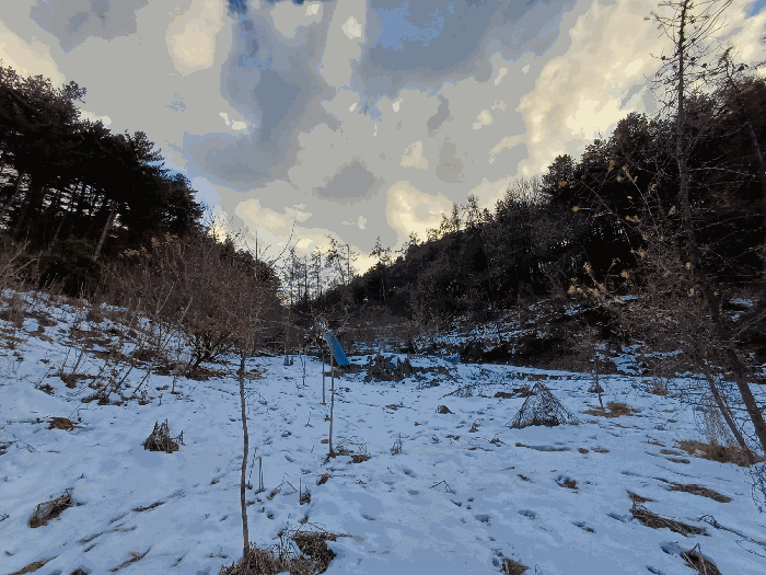 물건 사진 48