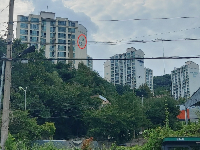 물건 사진 13