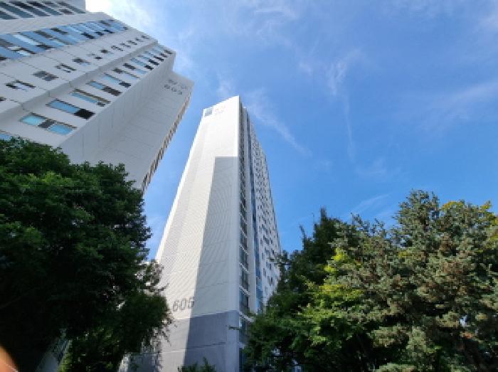 물건 사진 3