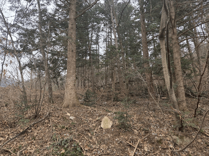 물건 사진 26
