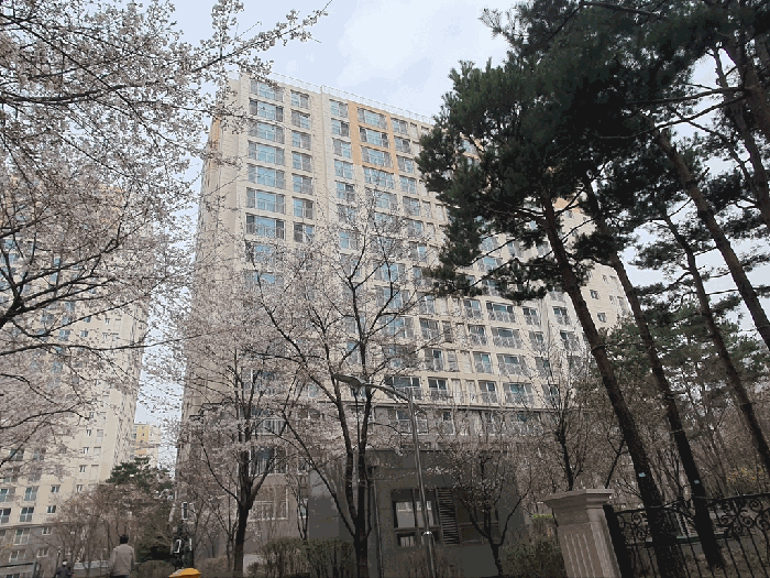 물건 사진 5
