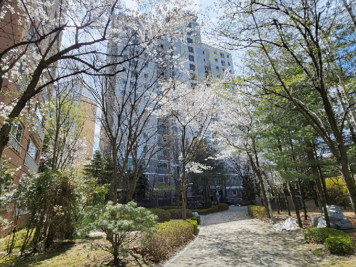 물건 사진 8