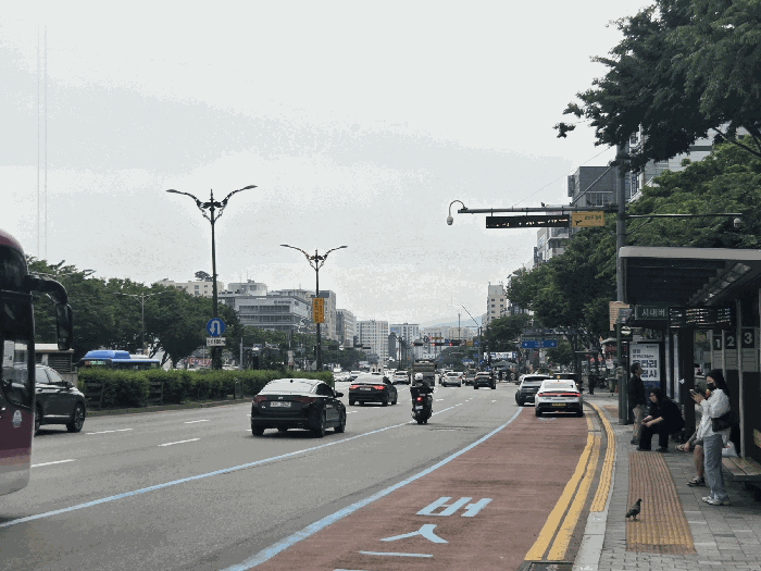 물건 사진 12