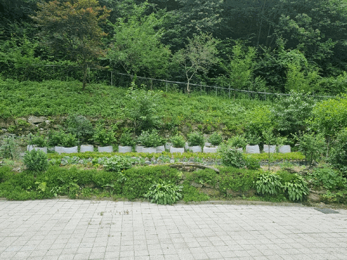 물건 사진 21