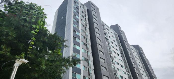 물건 사진 3