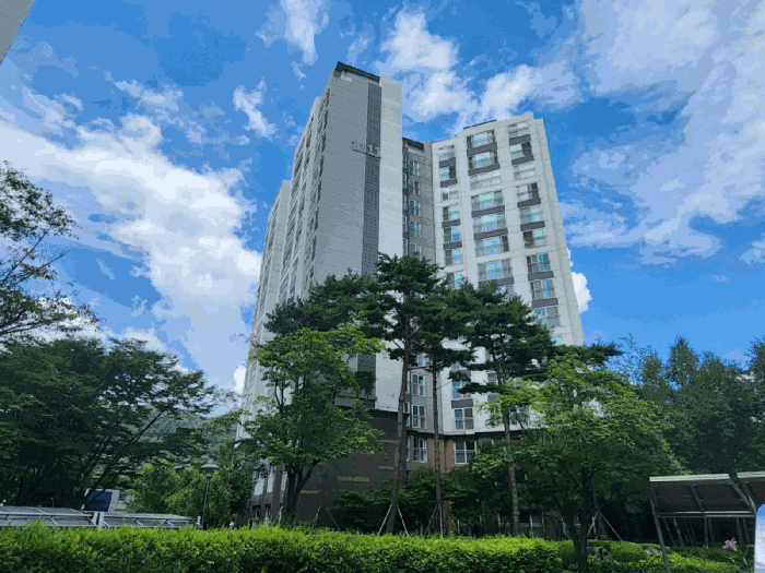 물건 사진 12